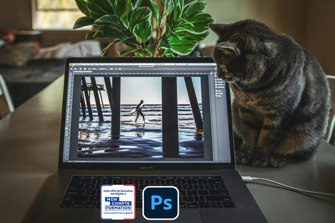 Photoshop Bases Fondamentales